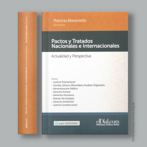 Pactos y tratados nacionales e internacionales : actualidad y perspectiva